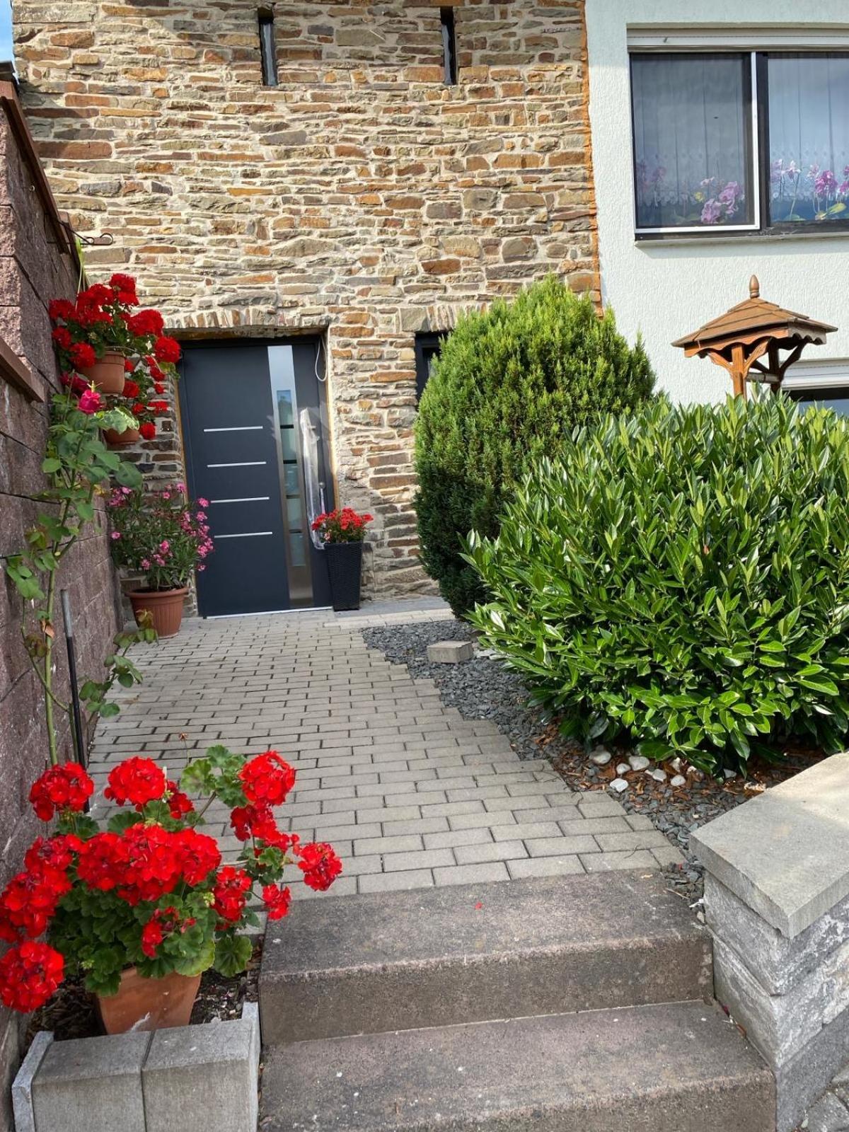 Familie Moisil Vila Daun Exterior foto